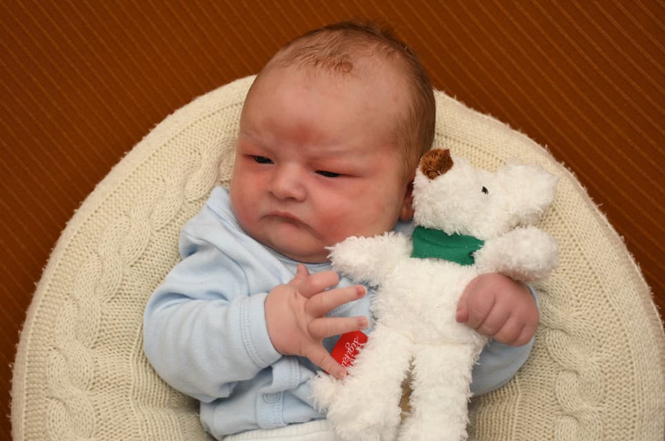 Louis Maximilian